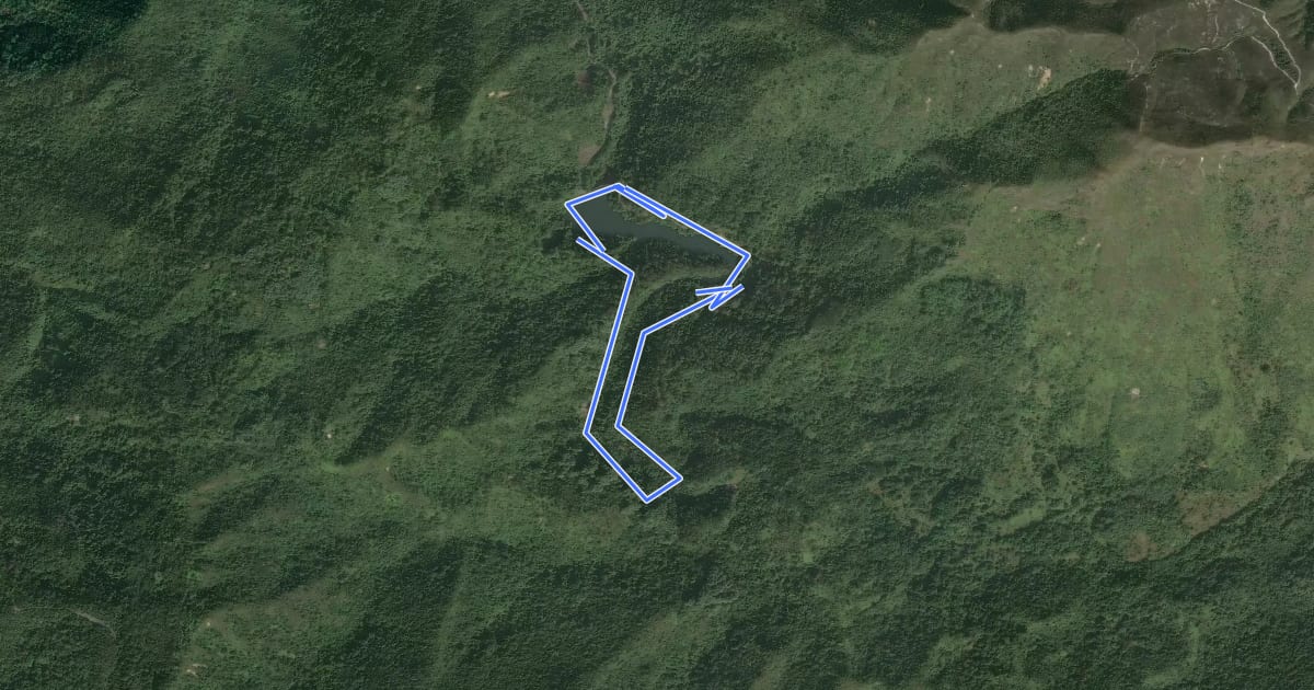 Маршрут 鶴藪水塘家樂徑 Hok Tau Reservoir Family Walk на спутниковом снимке