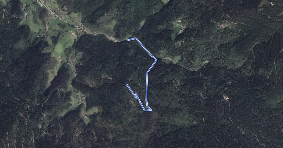 Маршрут Holchenweg - Schulterberg на спутниковом снимке