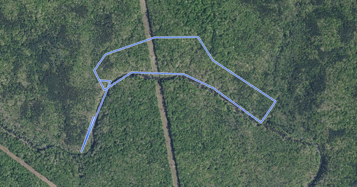 Маршрут Holden's Mill Trail на спутниковом снимке