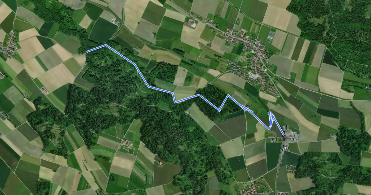 Маршрут Holgass – Thalheim-Altikon Bhf. на спутниковом снимке