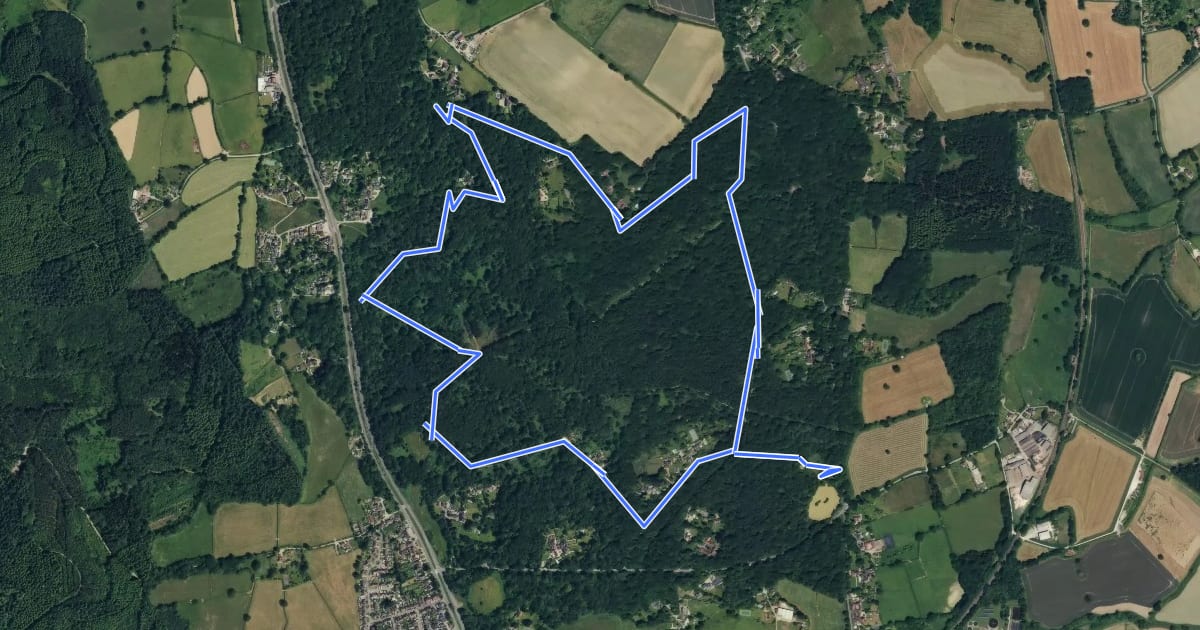 Маршрут Holmwood Common Family Activitiy Trail, Holmwood Common на спутниковом снимке
