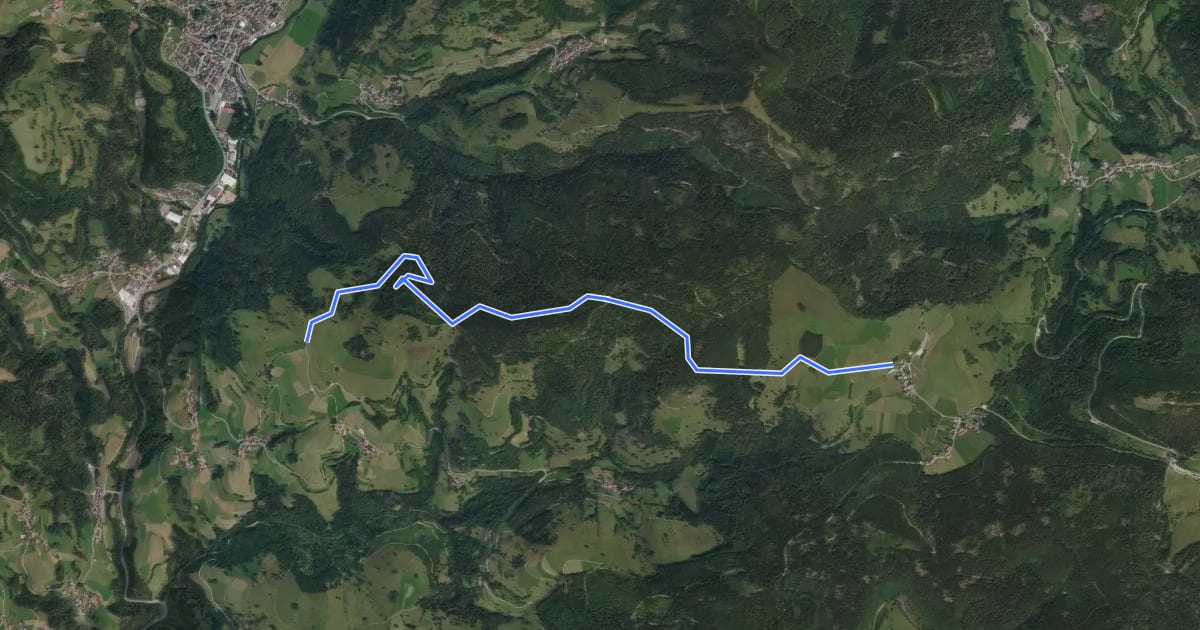 Маршрут Holzer Kreuz - Herrenschwand Gutrütteweg на спутниковом снимке
