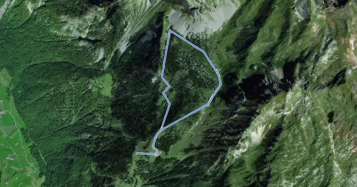 Маршрут Holzflue-Rundweg на спутниковом снимке
