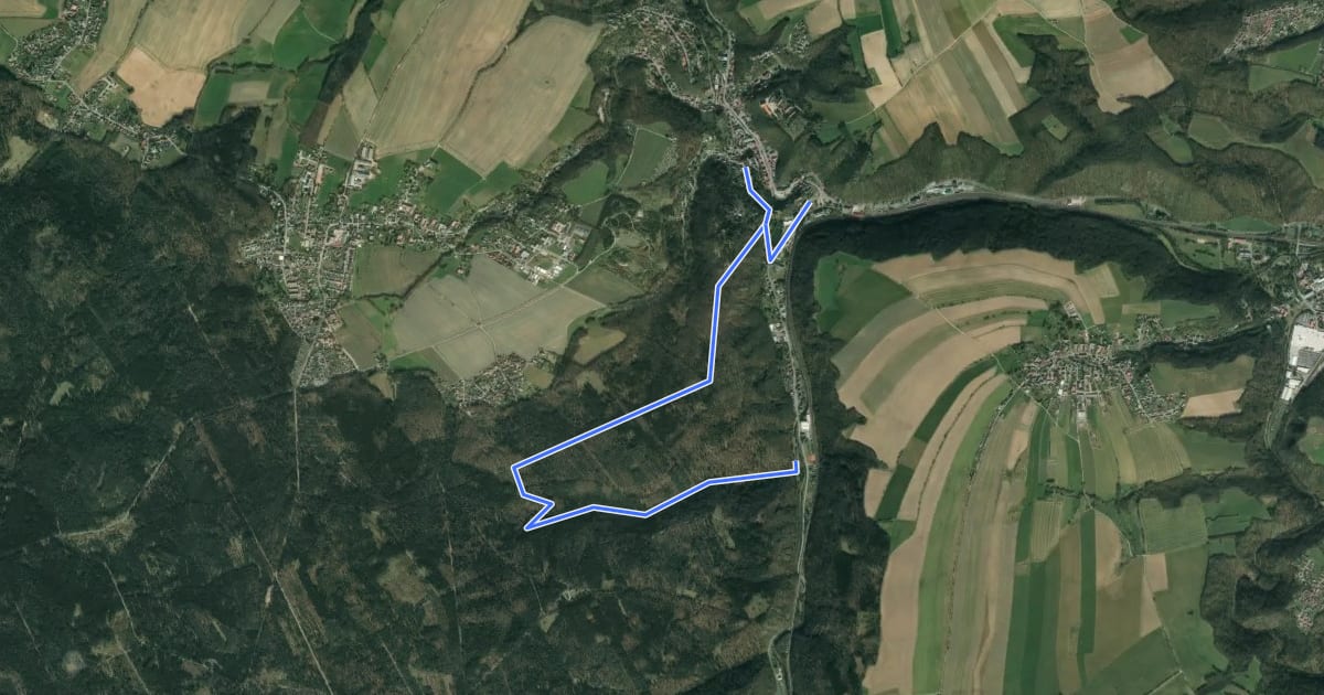 Маршрут Holzweg на спутниковом снимке