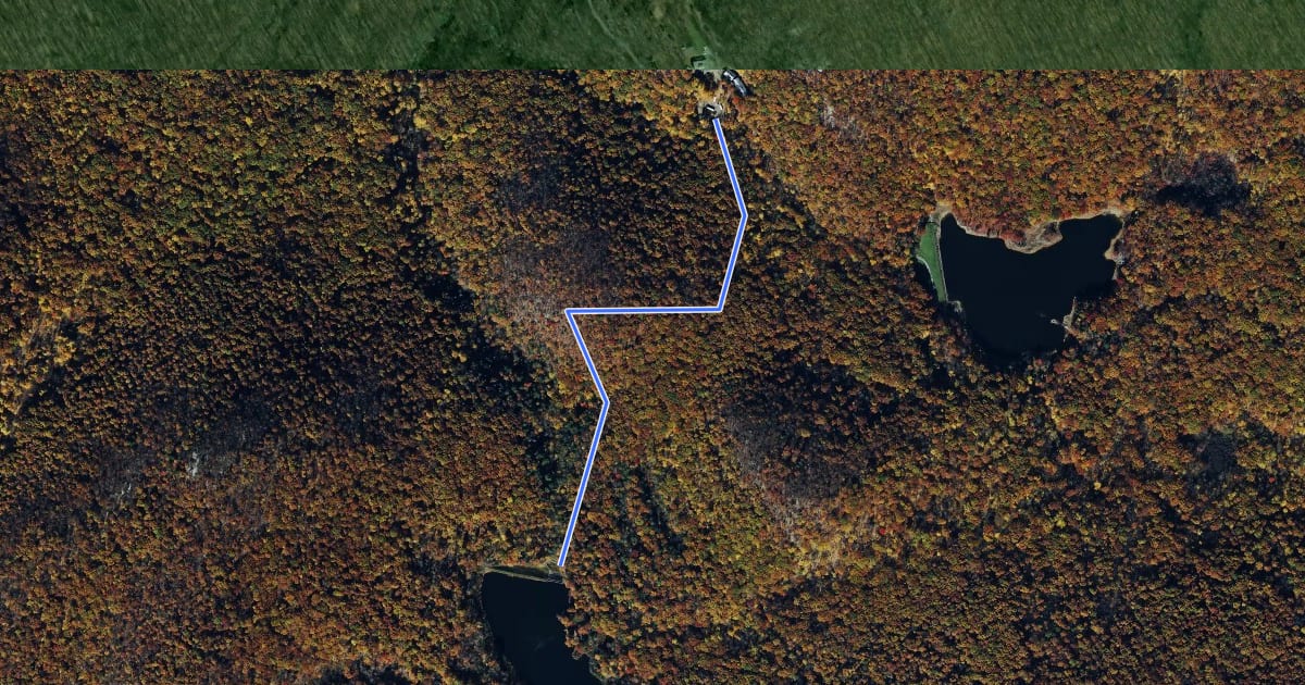 Маршрут Honey Hill Trail на спутниковом снимке