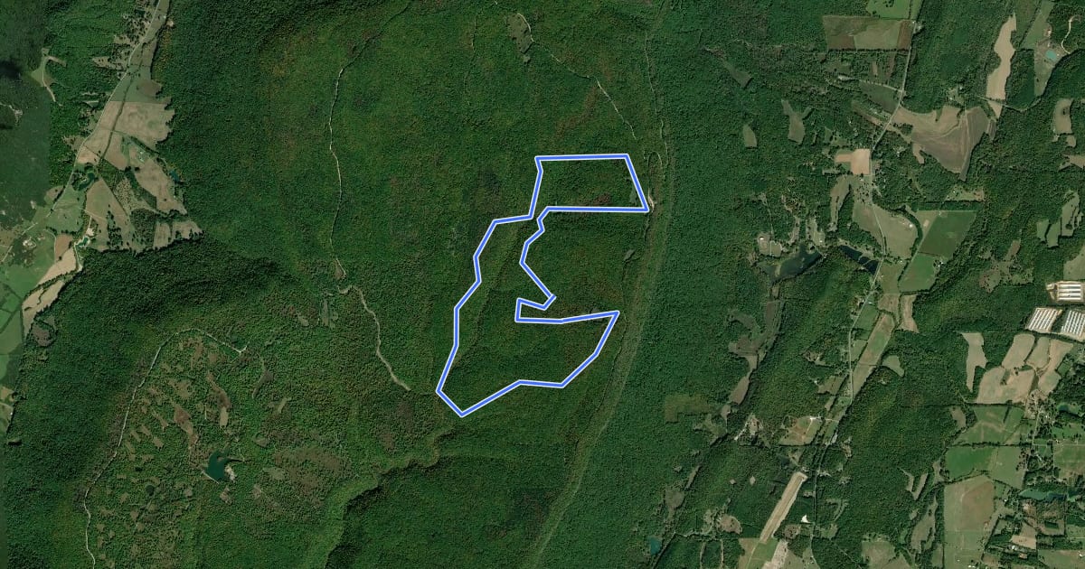 Маршрут Hood Loop Trail на спутниковом снимке