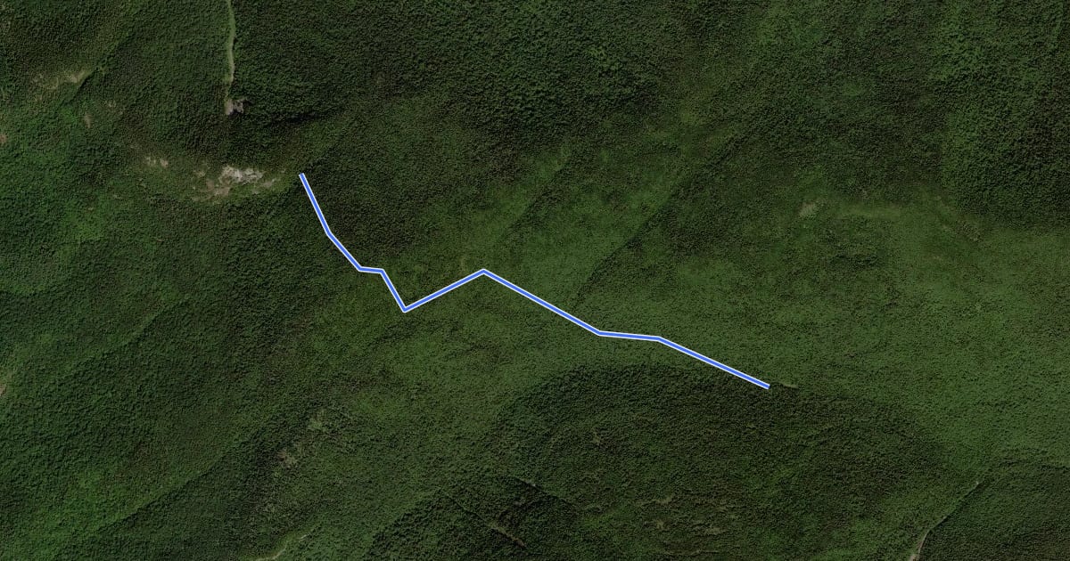 Маршрут Hopkins - North Giant Trail на спутниковом снимке