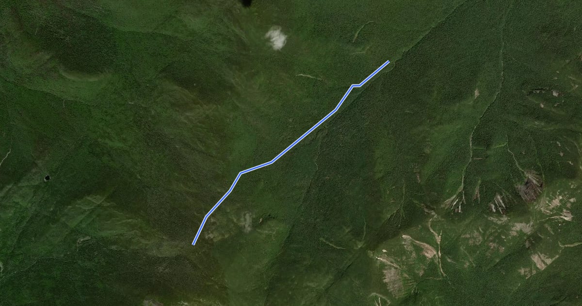 Маршрут Hopkins Trail на спутниковом снимке