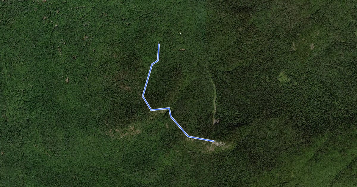 Маршрут Hopkins via Spread Eagle Trail на спутниковом снимке