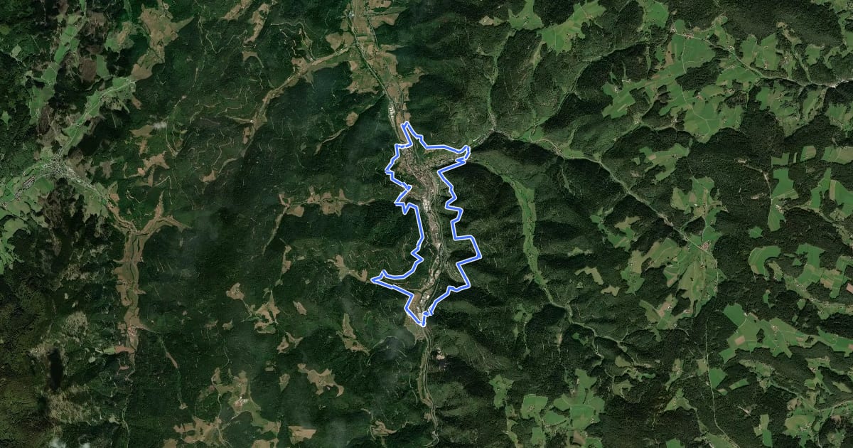 Маршрут Hornberger Panoramaweg на спутниковом снимке