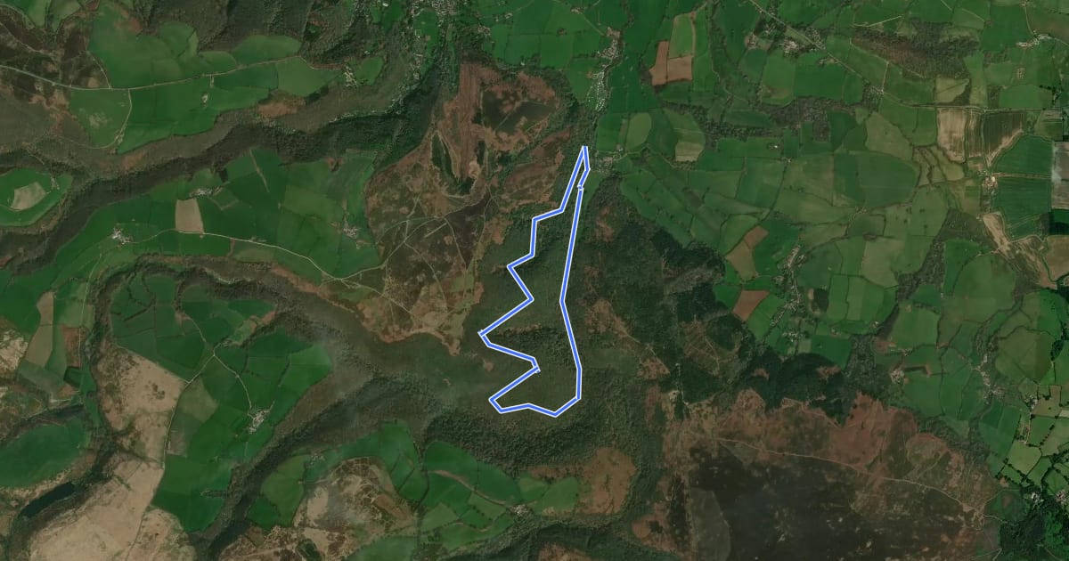 Маршрут Horner Wood Circular, Holnicote на спутниковом снимке