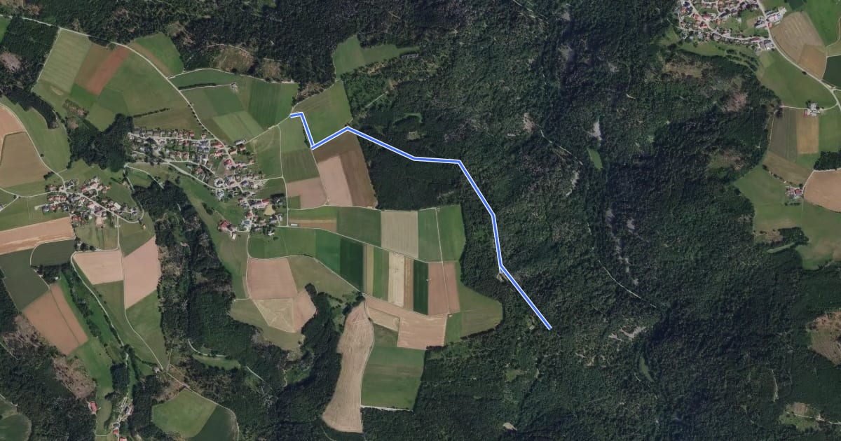 Маршрут Hornweg - Auf dem Feld на спутниковом снимке