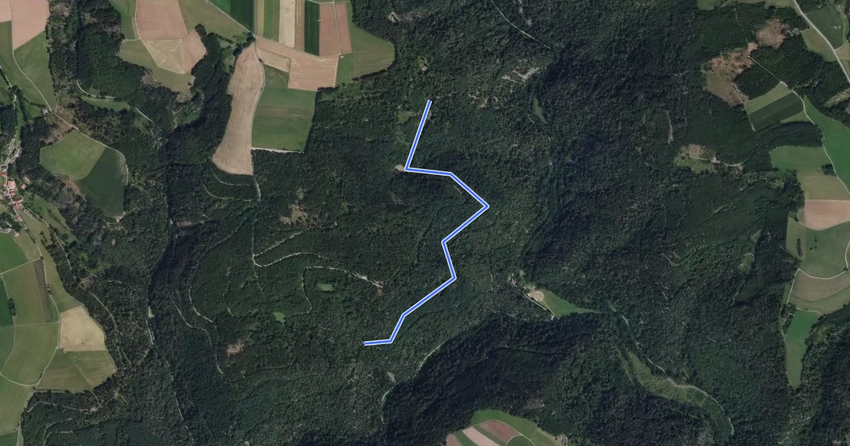 Маршрут Hornweg - Stampferstraße на спутниковом снимке
