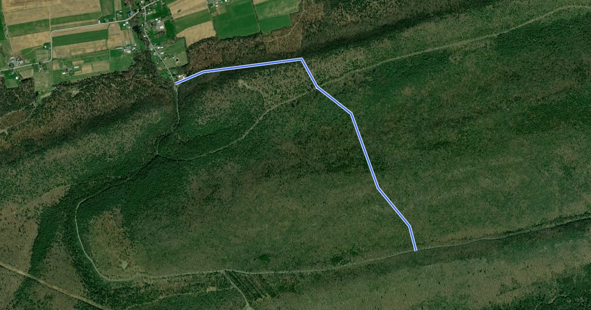 Маршрут Horse Path - State Line на спутниковом снимке