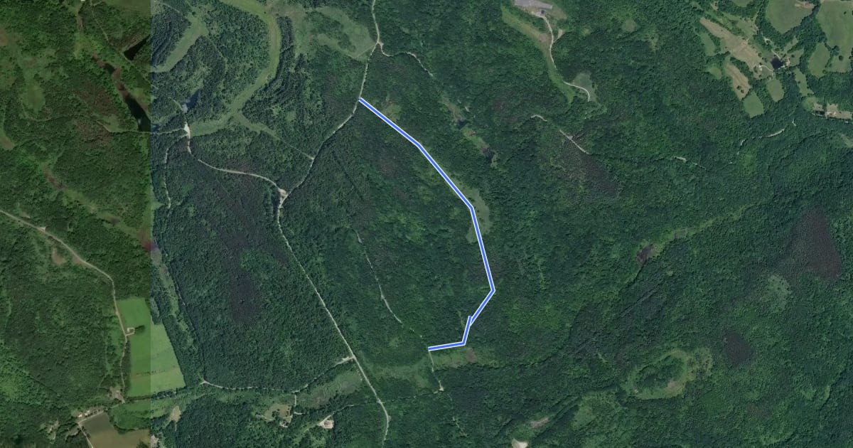 Маршрут Horse Trail (380) на спутниковом снимке