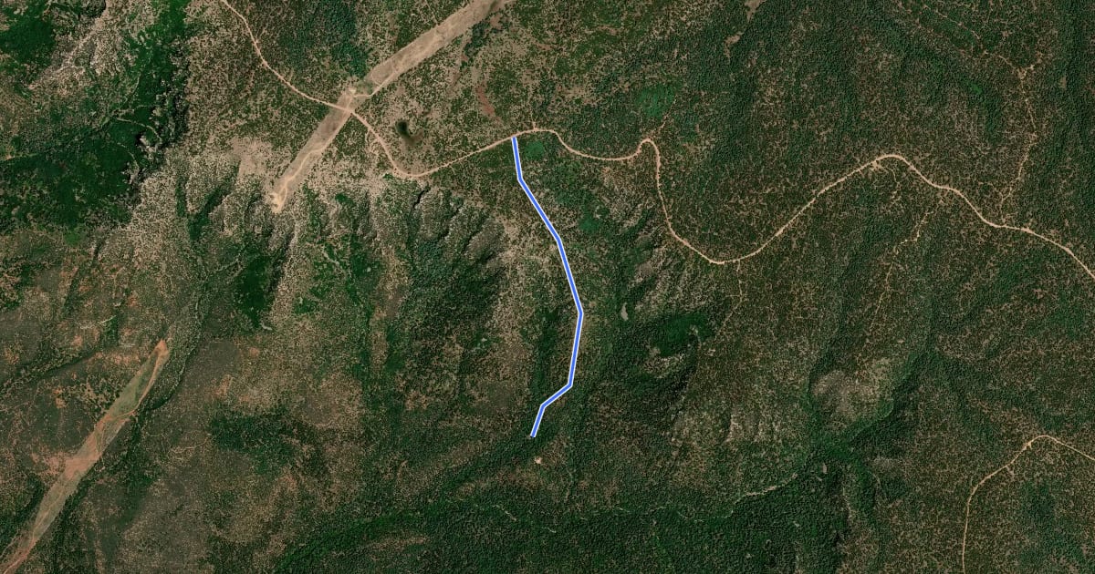 Маршрут Horton Springs Trail #292 на спутниковом снимке