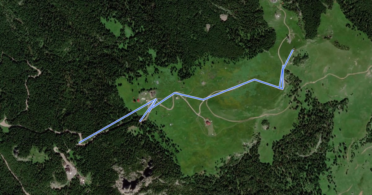 Маршрут Hotel Rarău – Vf. Rarău (blue dot) на спутниковом снимке