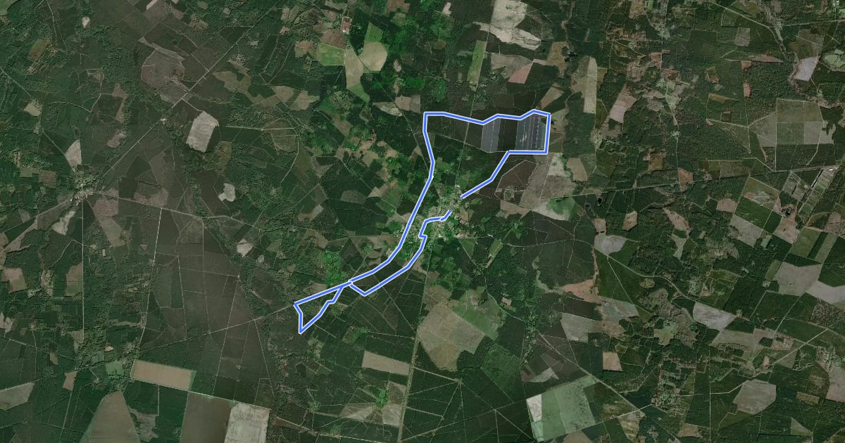 Маршрут Houeillès, dans la forêt des Lugues - 16.1 km на спутниковом снимке