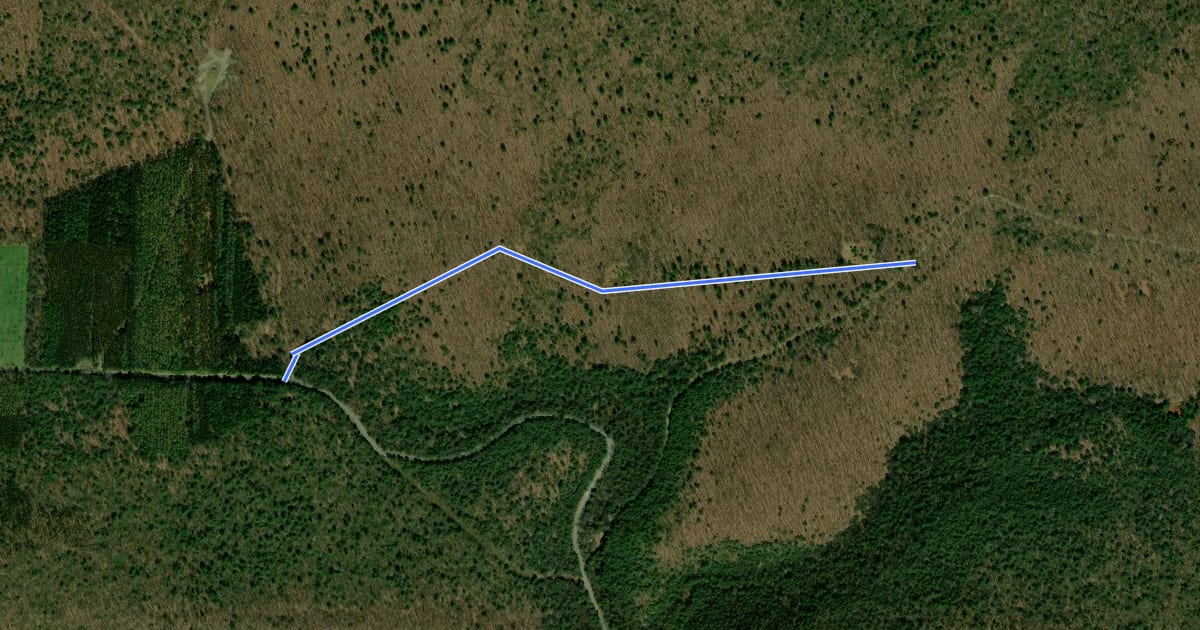 Маршрут Hough Mountain Trail на спутниковом снимке