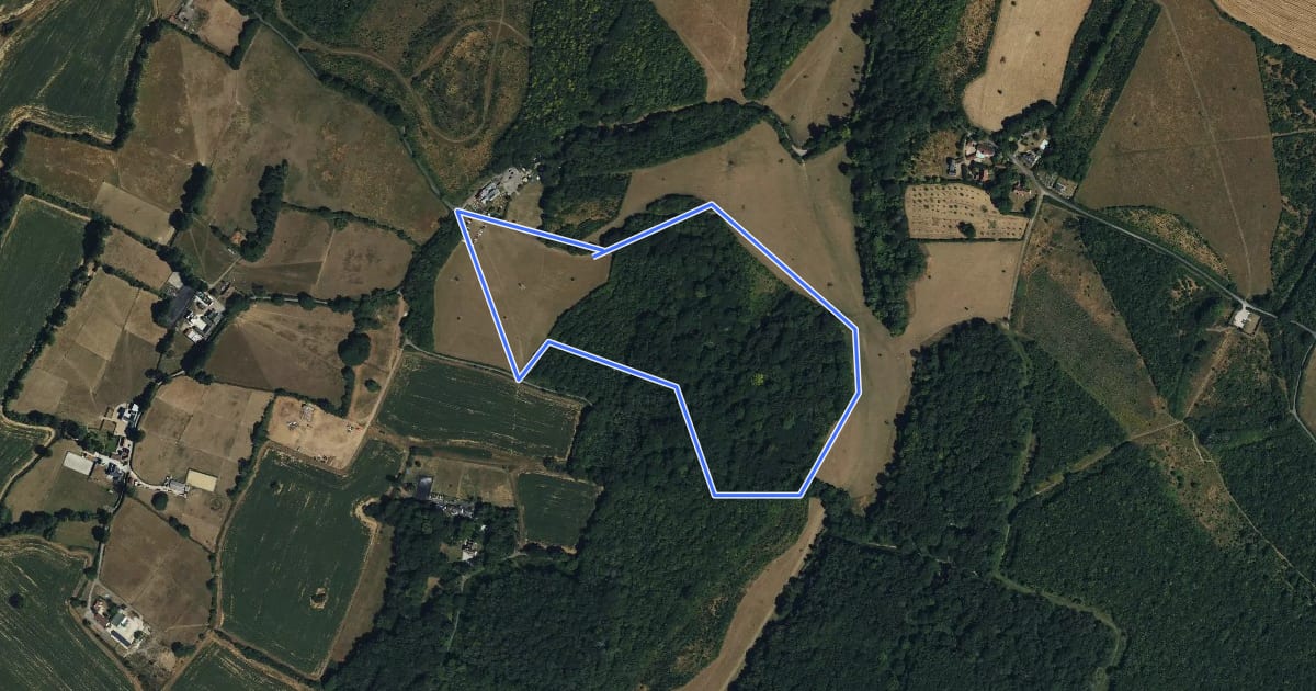 Маршрут Hucking Estate Blue Route на спутниковом снимке