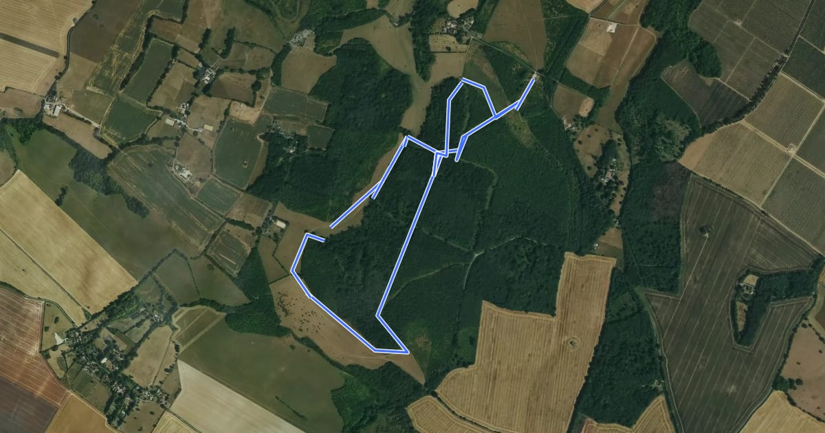 Маршрут Hucking Estate Landscape Trail на спутниковом снимке
