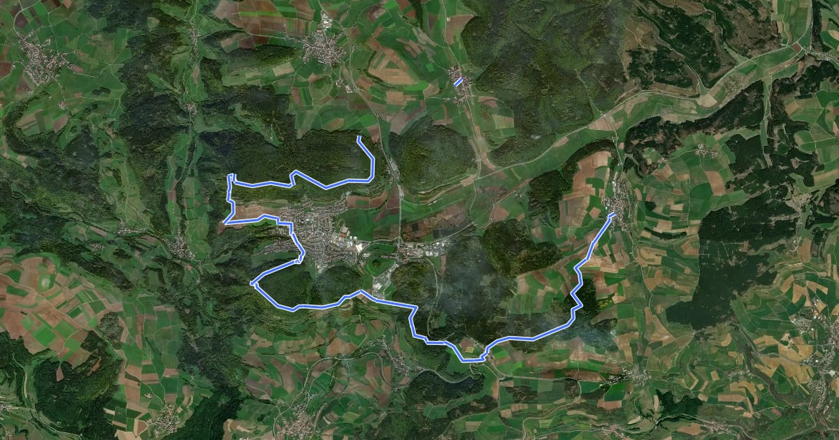 Маршрут Hugenotten- und Waldenserpfad, Etappe Riedöschingen - Hondingen на спутниковом снимке