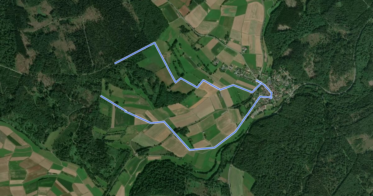 Маршрут Hugenotten- und Waldenserpfad (Schleife Wiesenfeld) на спутниковом снимке