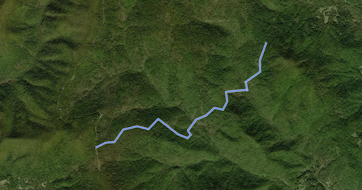 Маршрут Hull School Trail на спутниковом снимке