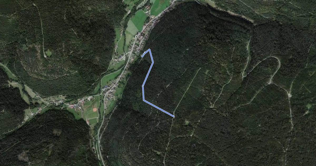 Маршрут Hummelbergtalweg - Hummelberghütte на спутниковом снимке