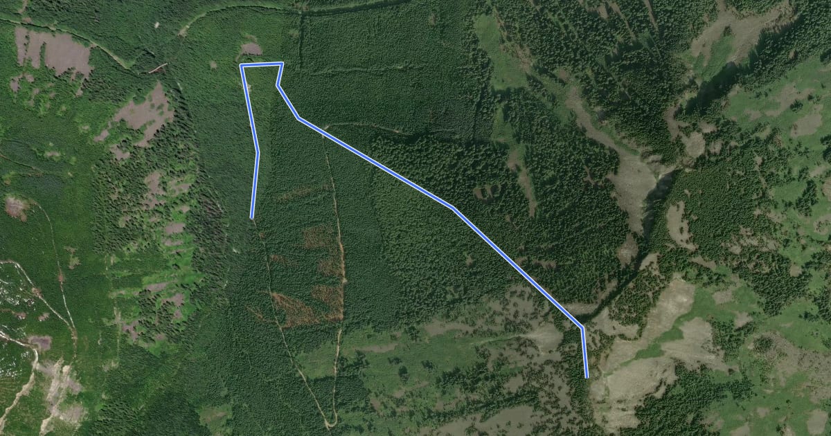 Маршрут Humpback Mountain Trail на спутниковом снимке