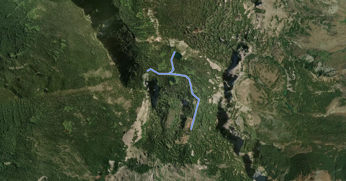 Маршрут Hunts Cove Trail на спутниковом снимке