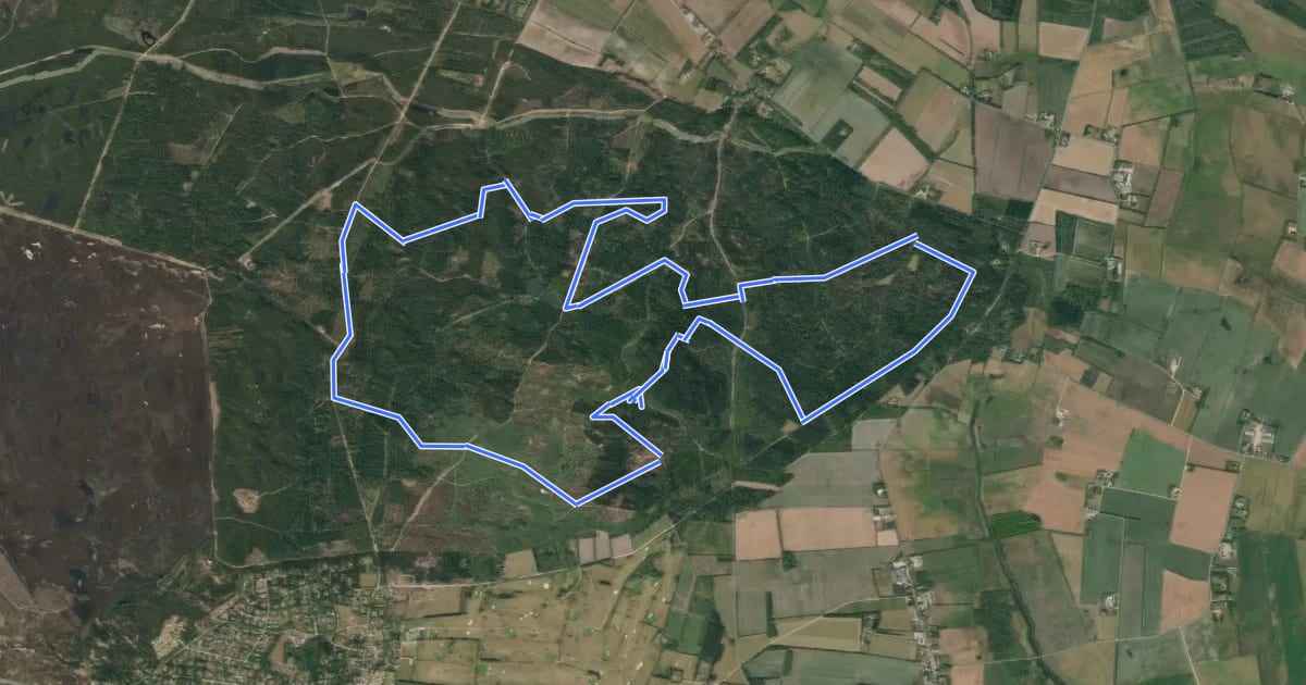 Маршрут Hvid MTB rute - Blåbjerg на спутниковом снимке