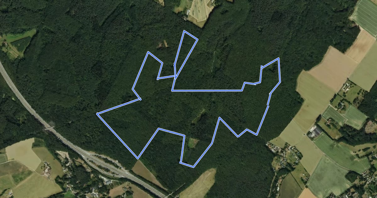 Маршрут Hyacintenwandeling на спутниковом снимке