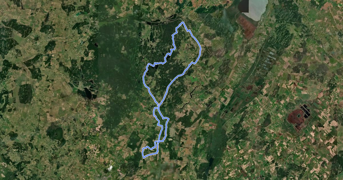 Маршрут Šiaurės kolegijos trasa 60/40 km на спутниковом снимке