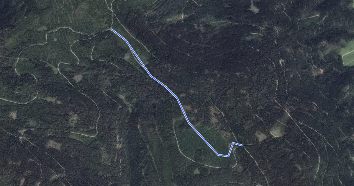 Маршрут Ibacher Eckle - Ramsbacher Holzplatz на спутниковом снимке