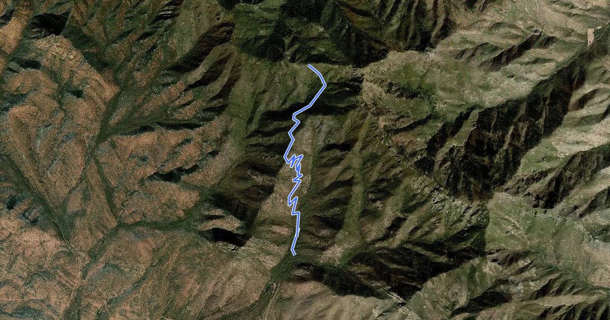 Маршрут Ida Canyon Trail #110 на спутниковом снимке