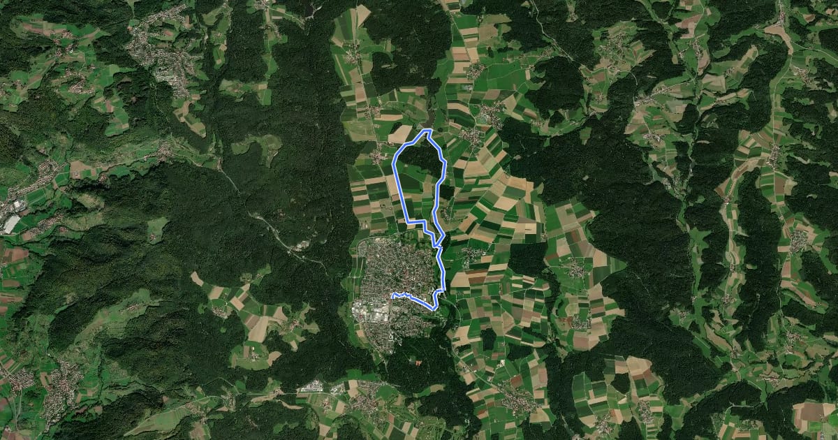 Маршрут Idyllische Straße - Rundweg P на спутниковом снимке