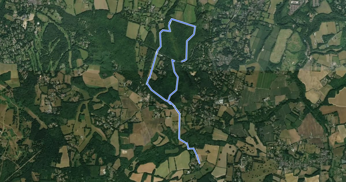 Маршрут Ightham Mote Circular Walk to Oldbury Hill, Ightham Mote на спутниковом снимке