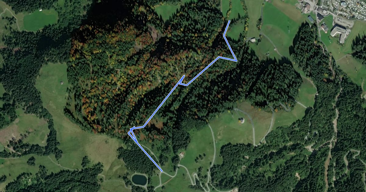 Маршрут Iglmoos Trail на спутниковом снимке
