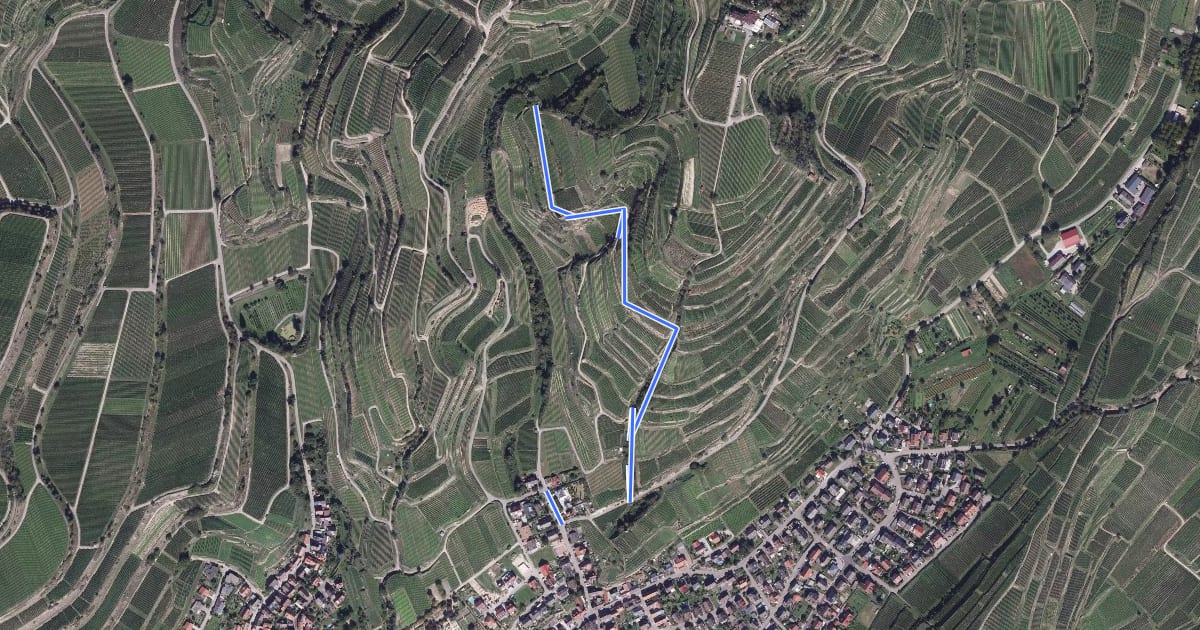 Маршрут Ihringen Lenzenbergstraße - Obere Dulltalgasse на спутниковом снимке