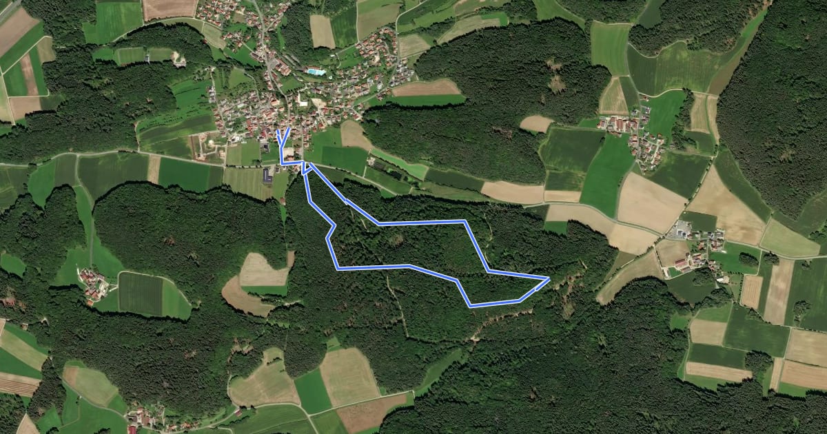 Маршрут Illschwang Wanderweg 8 на спутниковом снимке