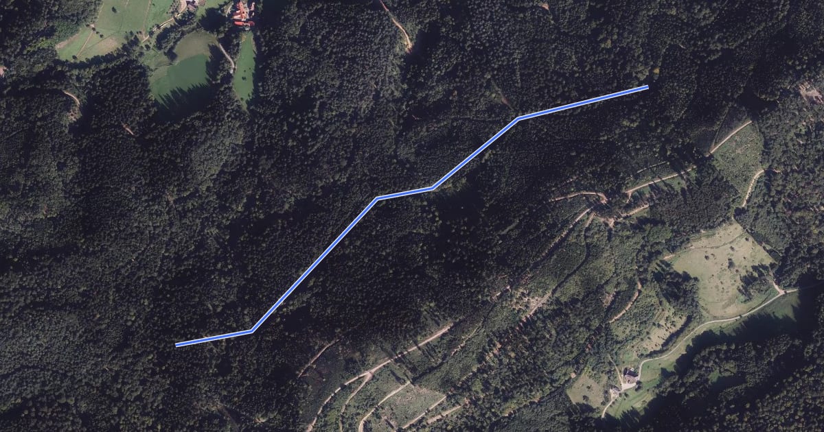 Маршрут Im Dornbusch - Winterwald на спутниковом снимке