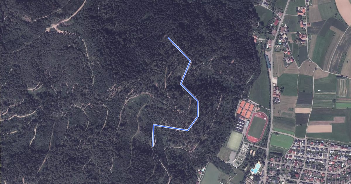 Маршрут Im Eichengrund - Badwaldweg на спутниковом снимке