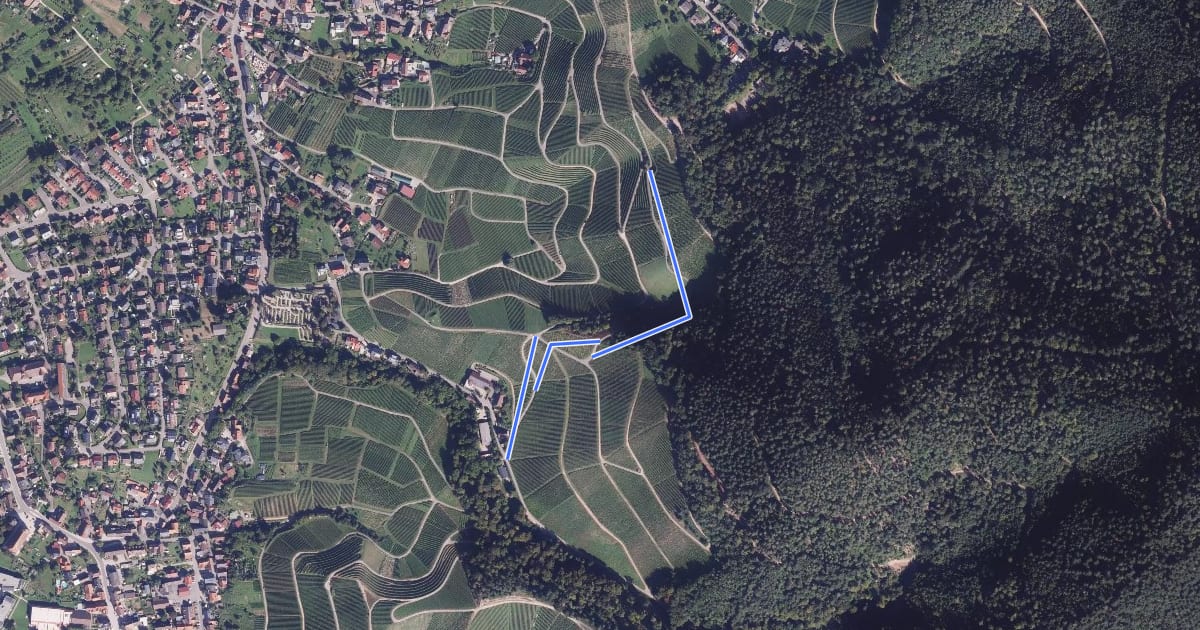 Маршрут Im Hafner - Weingut Schloss Ortenberg на спутниковом снимке
