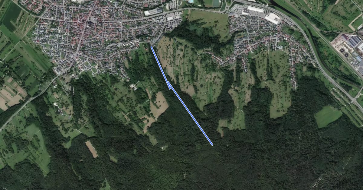 Маршрут Im Siegen - Neuer Schlag на спутниковом снимке