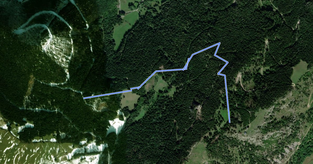 Маршрут Imnitzersteig - Geländehütte (bei Grünbach) на спутниковом снимке