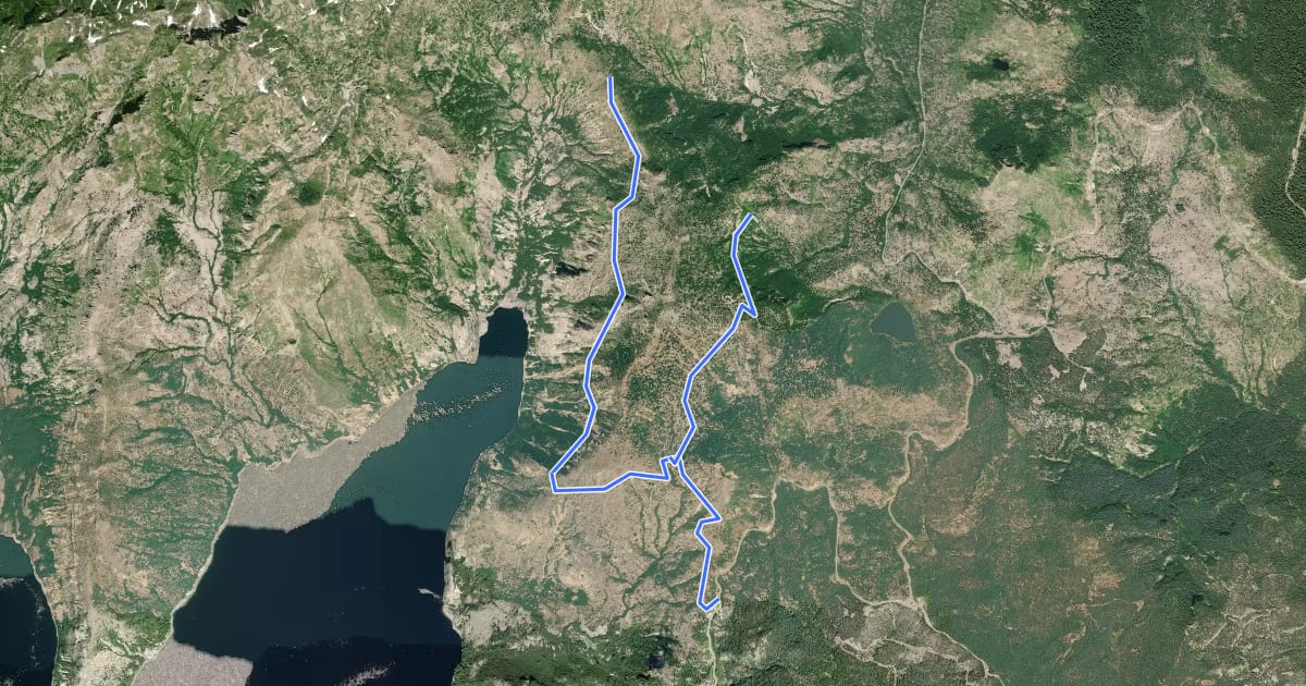 Маршрут Independence Pass Trail на спутниковом снимке