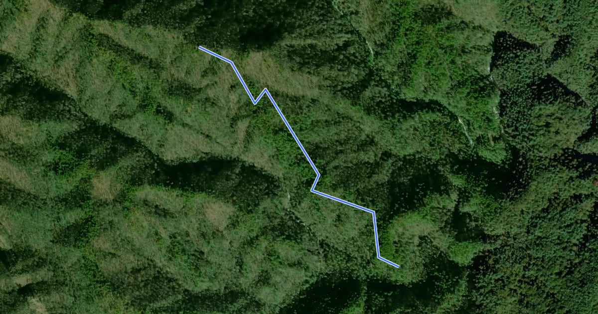 Маршрут Indian Camp Trail на спутниковом снимке