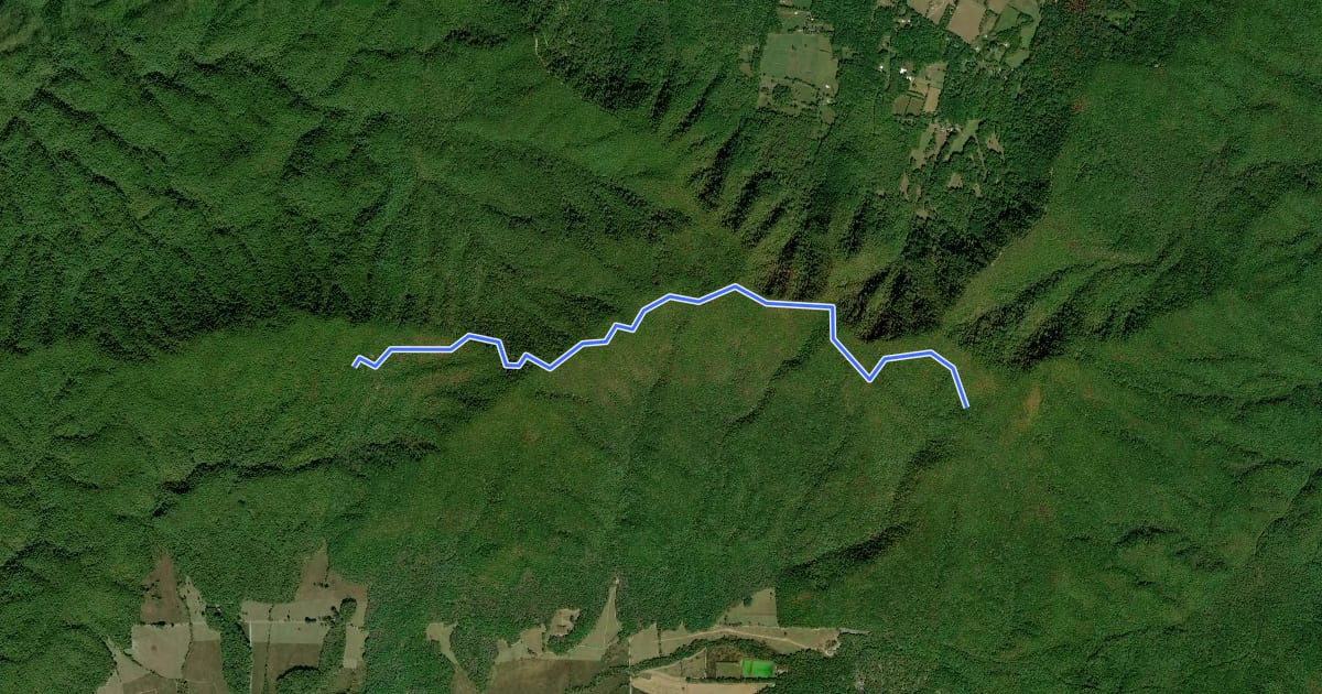 Маршрут Indian Grave Gap Trail на спутниковом снимке