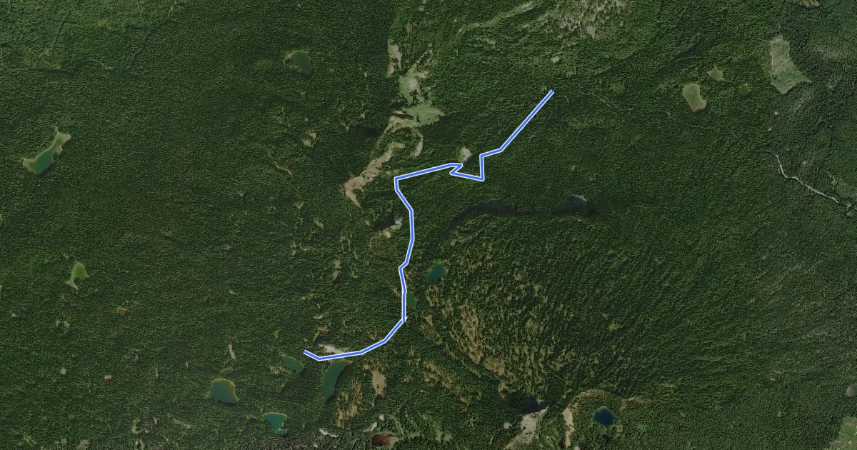 Маршрут Indian Heaven Trail #33 на спутниковом снимке